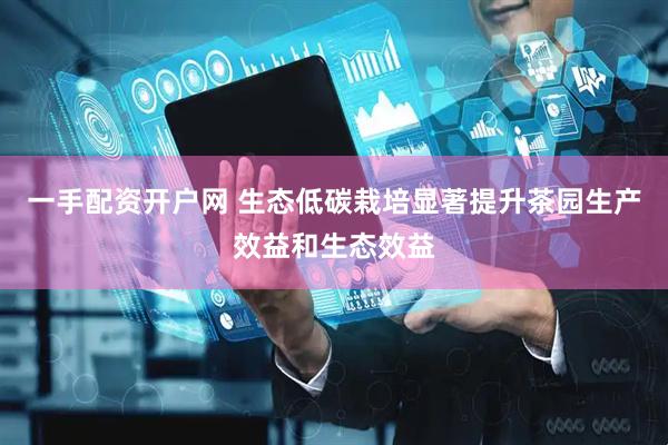 一手配资开户网 生态低碳栽培显著提升茶园生产效益和生态效益