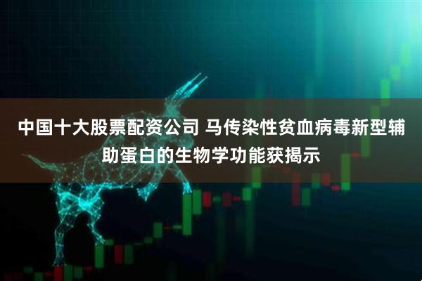 中国十大股票配资公司 马传染性贫血病毒新型辅助蛋白的生物学功能获揭示
